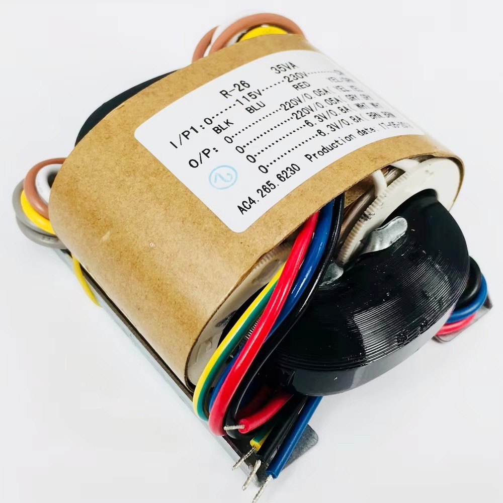 35W Sec Spanning 220V x2 + 6.3 - R/Diy Electronics recensie en prijs