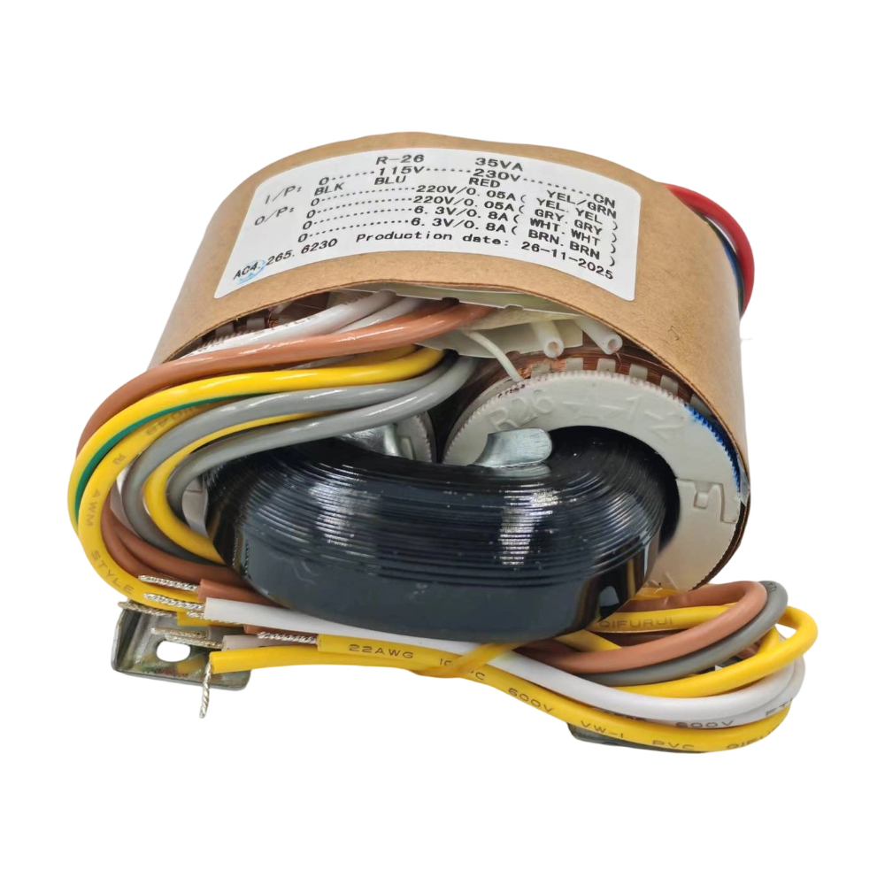 35W Sec Spanning 220V x2 + 6.3 - R/Diy Electronics recensie en prijs