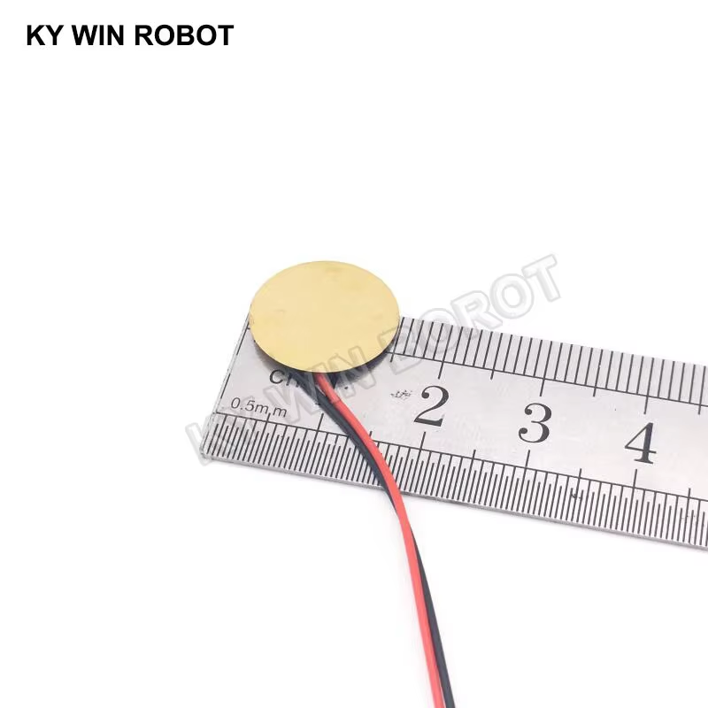 10 Stuks Piëzo-elektrische Pie - R/Diy Electronics recensie en prijs