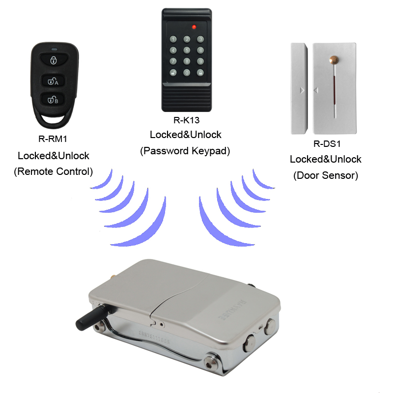 RAYKUBE Elektronisch deurslot  - R/Diy Electronics recensie en prijs